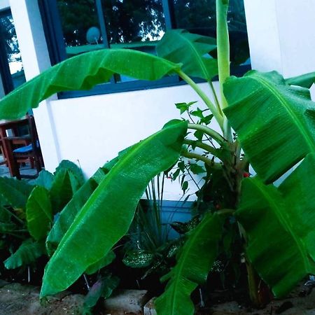 Bungalow Ramena Beach Antsiranana Andjamen Экстерьер фото